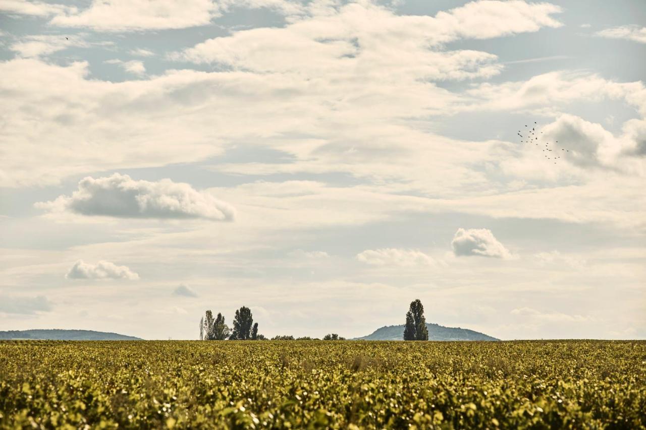 Como Le Montrachet Puligny-Montrachet Zewnętrze zdjęcie