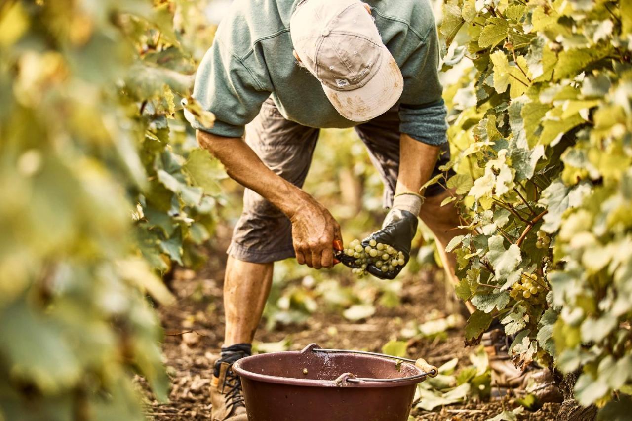 Como Le Montrachet Puligny-Montrachet Zewnętrze zdjęcie