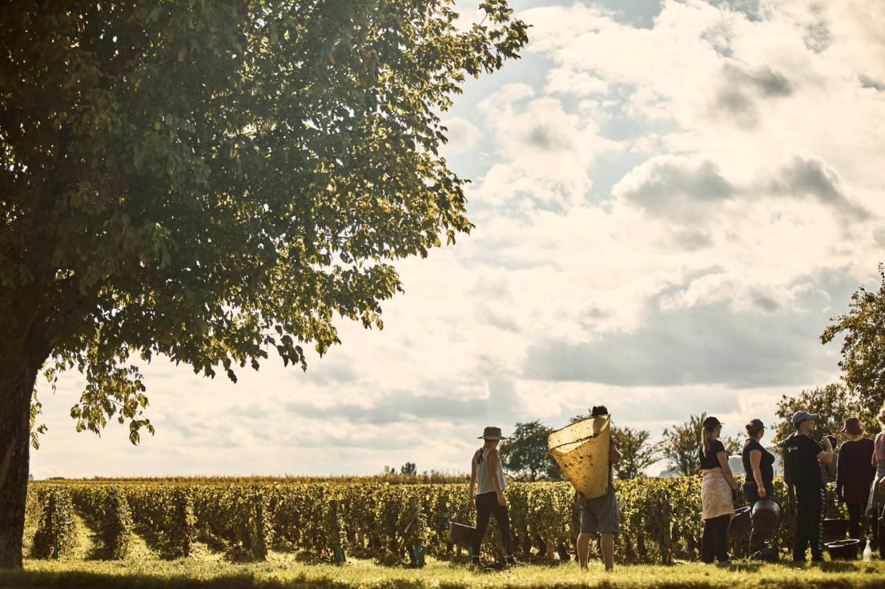 Como Le Montrachet Puligny-Montrachet Zewnętrze zdjęcie