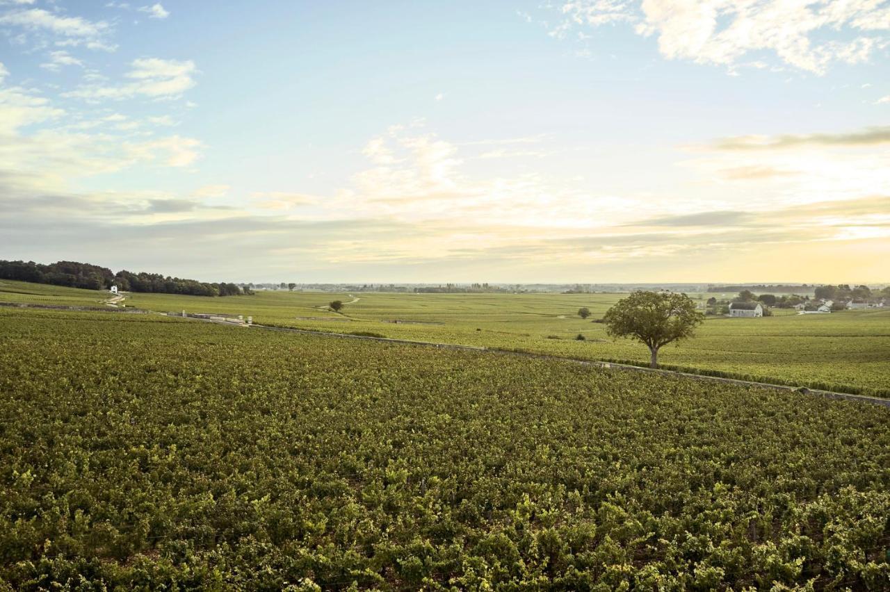 Como Le Montrachet Puligny-Montrachet Zewnętrze zdjęcie
