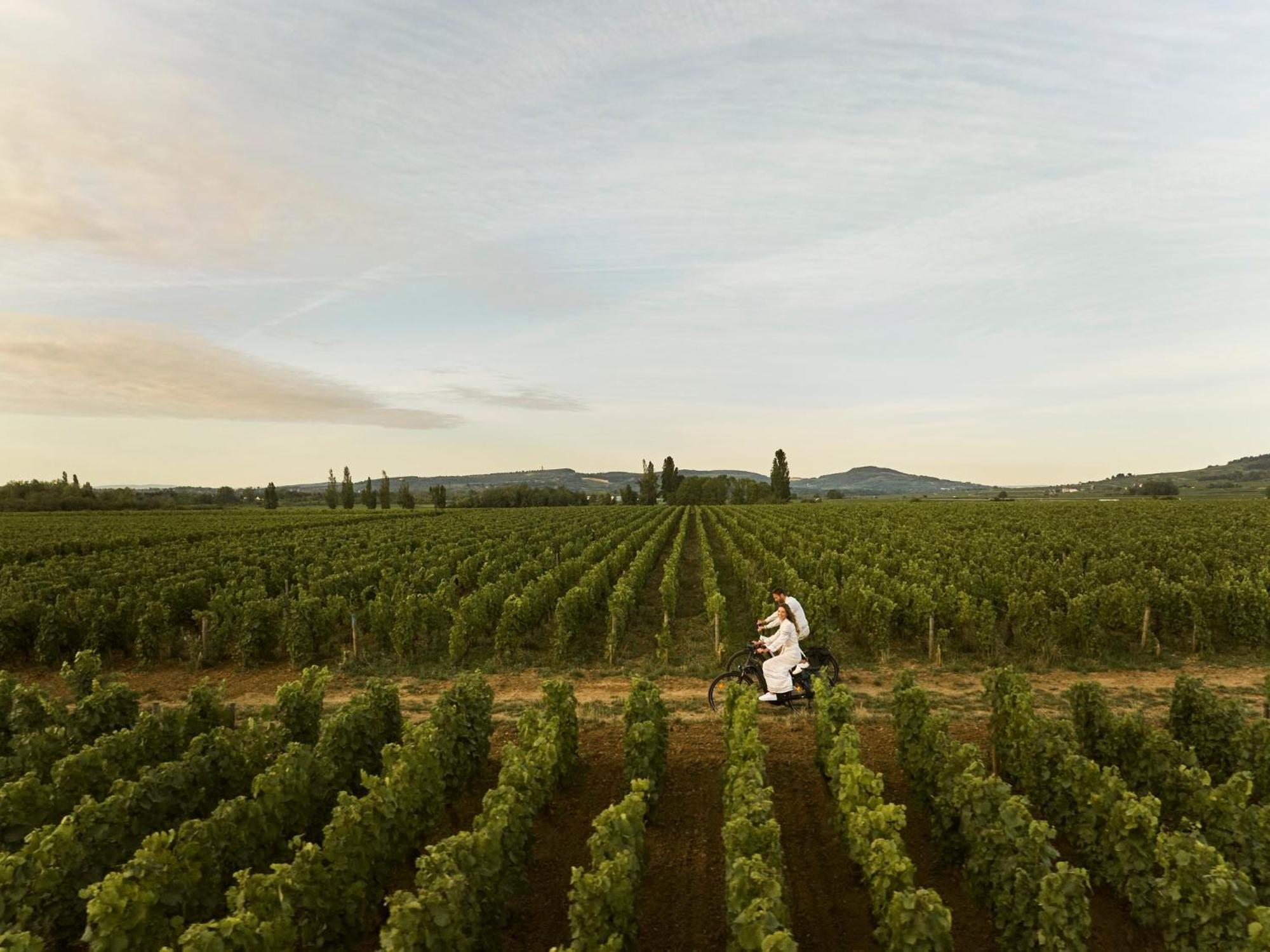 Como Le Montrachet Puligny-Montrachet Zewnętrze zdjęcie