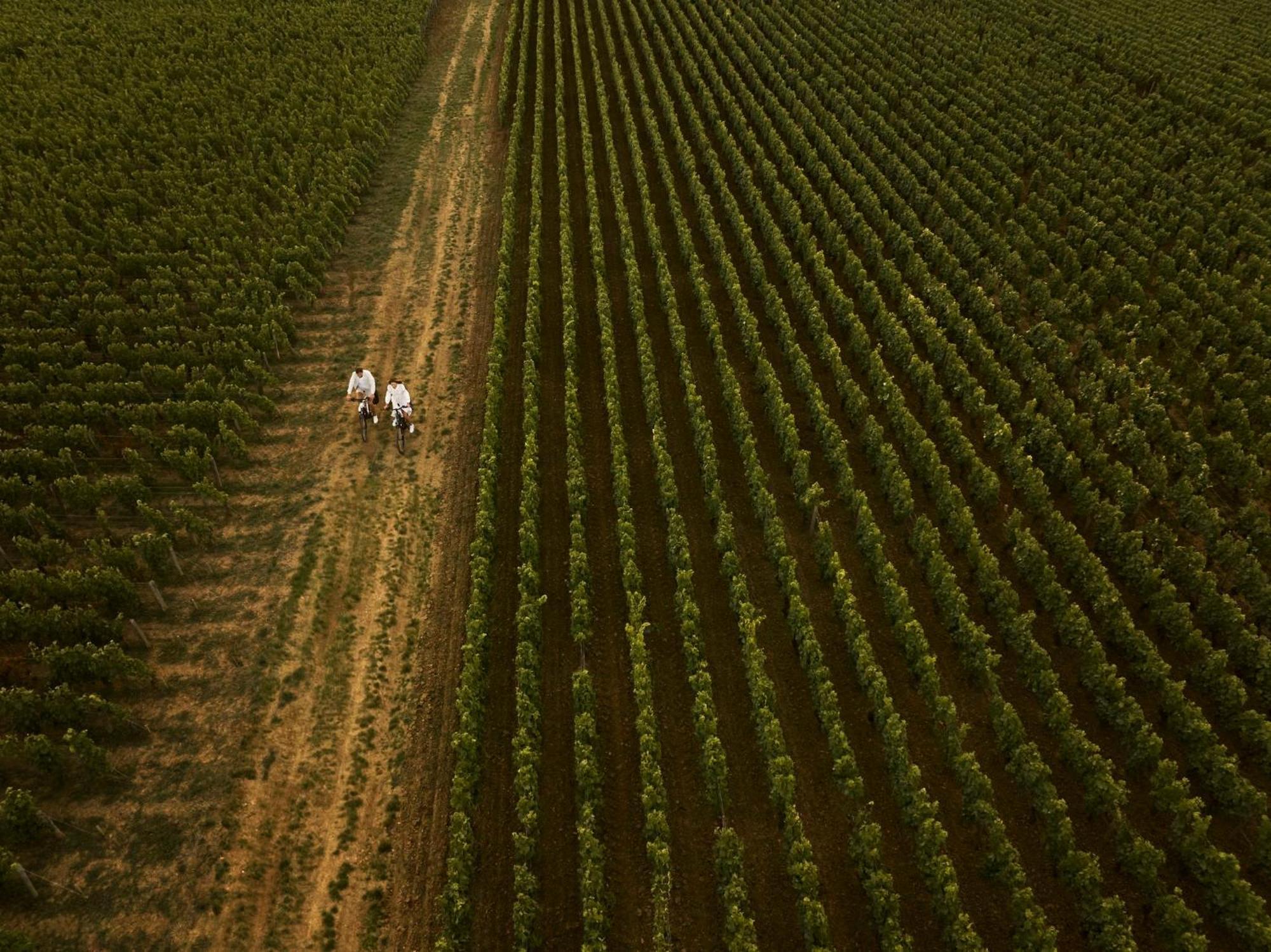 Como Le Montrachet Puligny-Montrachet Zewnętrze zdjęcie